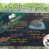 October Spanish Immersion Cycle